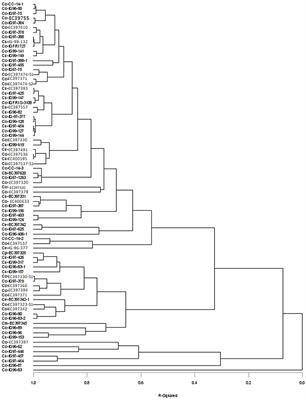 Evaluation of global Cenchrus germplasm for key nutritional and silage quality traits